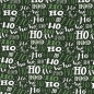 Preview: Jersey | Bern | grün HOHOHO